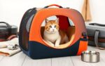 tips for traveling with a cat